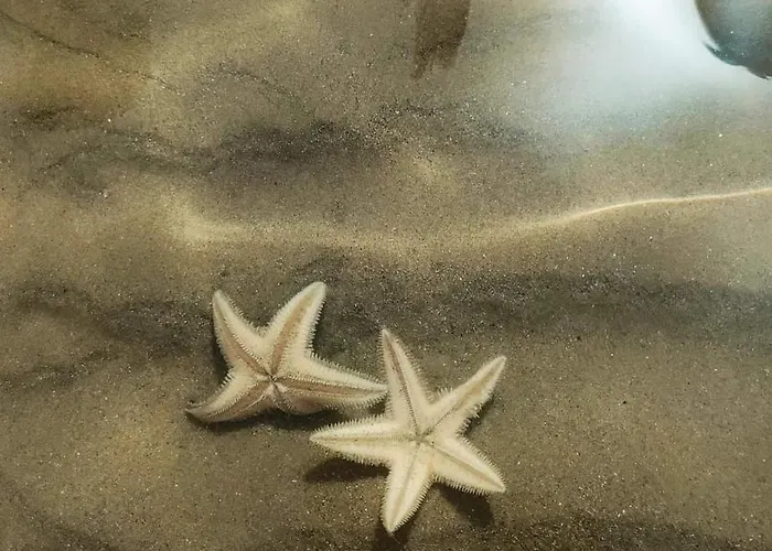 La Casa Di Cri Con Servizio Spiaggia Incluso!