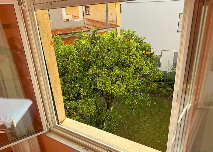 Bel Fiore